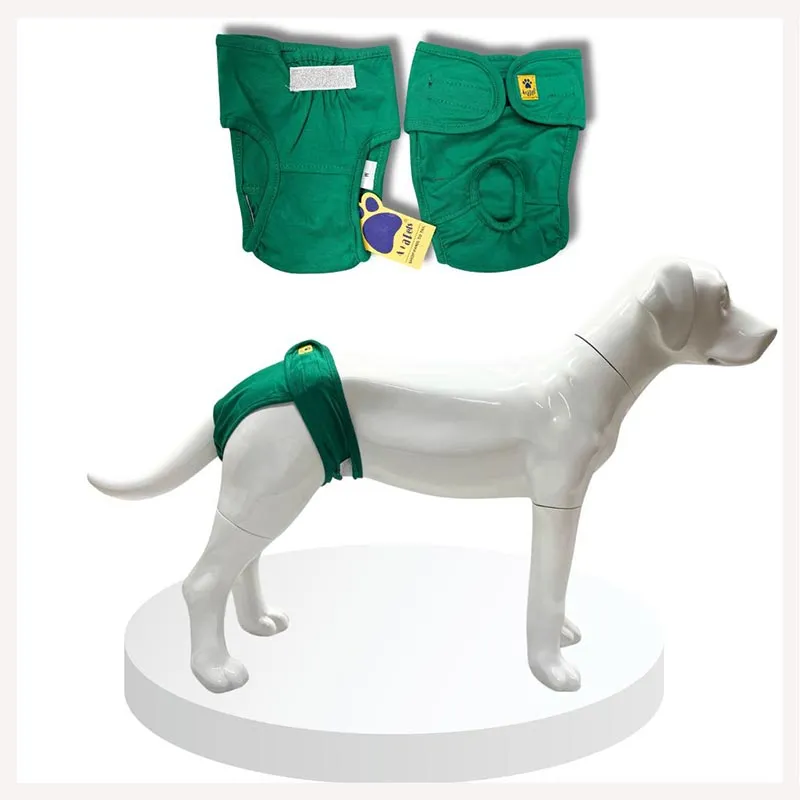 A a Pets’ Cotton Reusable Washable Diaper for Dogs (Green)