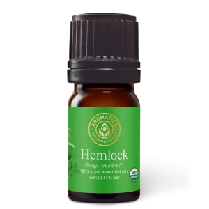 Hemlock Essential Oil