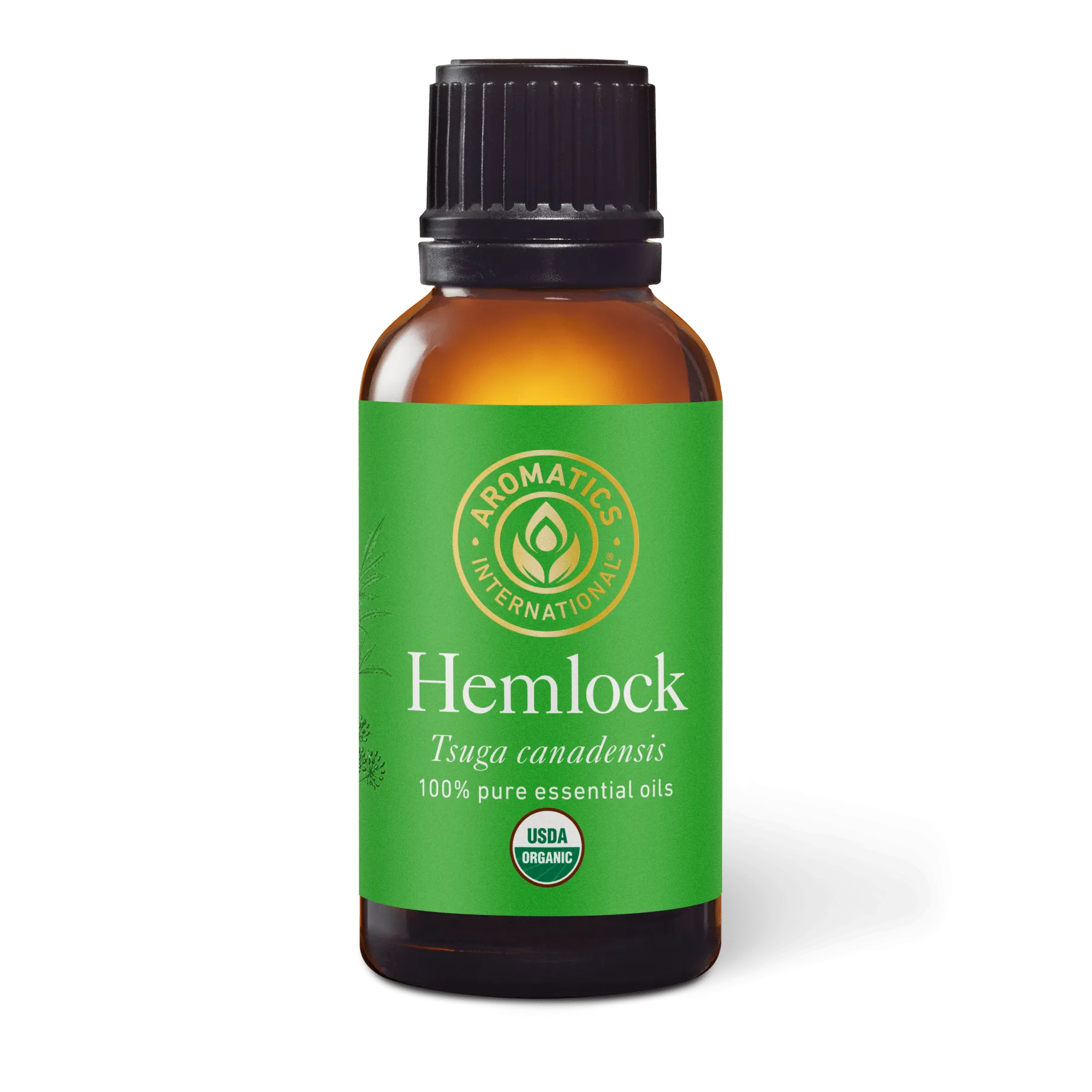 Hemlock Essential Oil