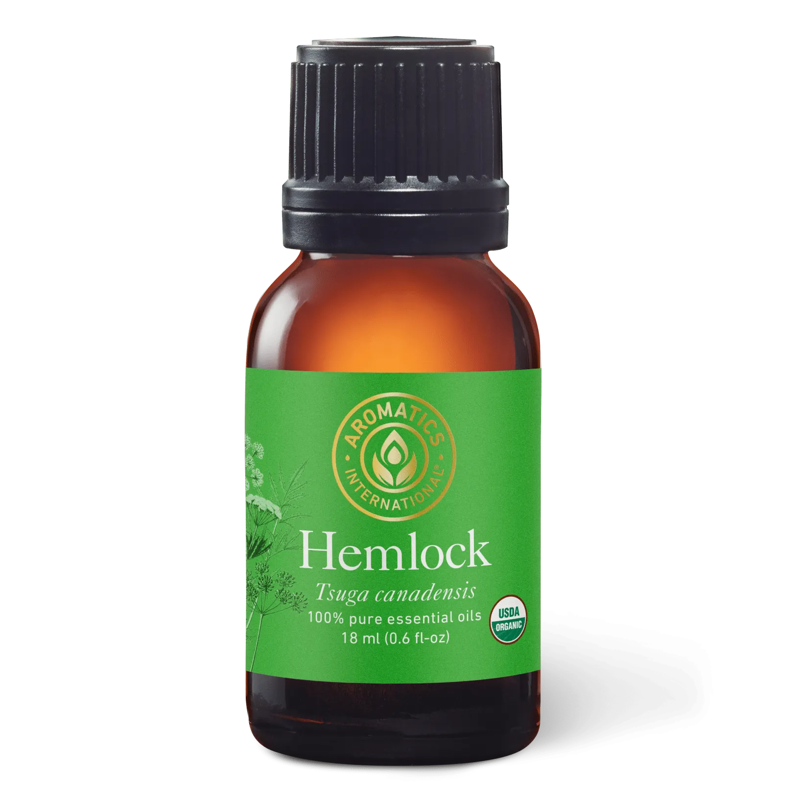 Hemlock Essential Oil