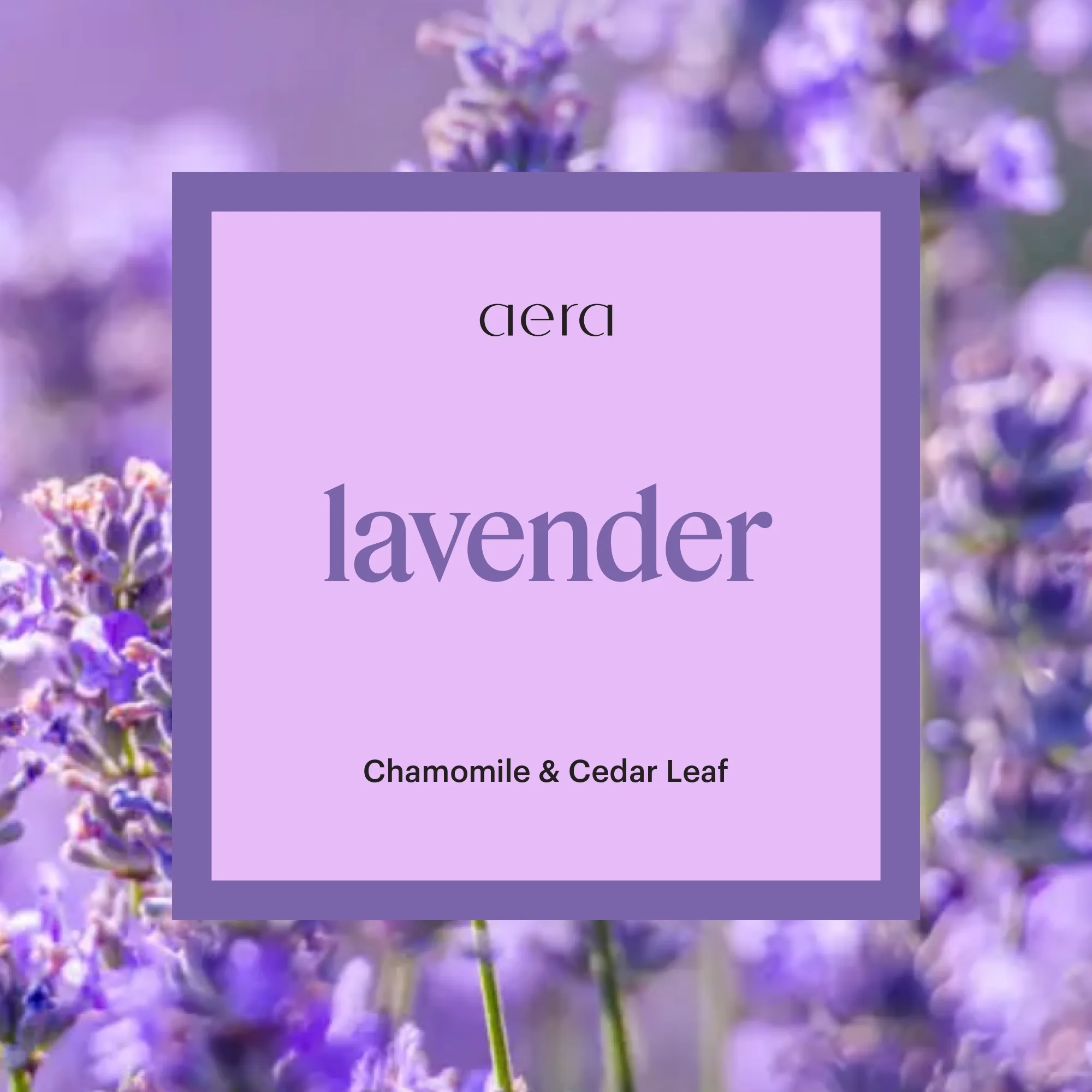 Lavender for Go