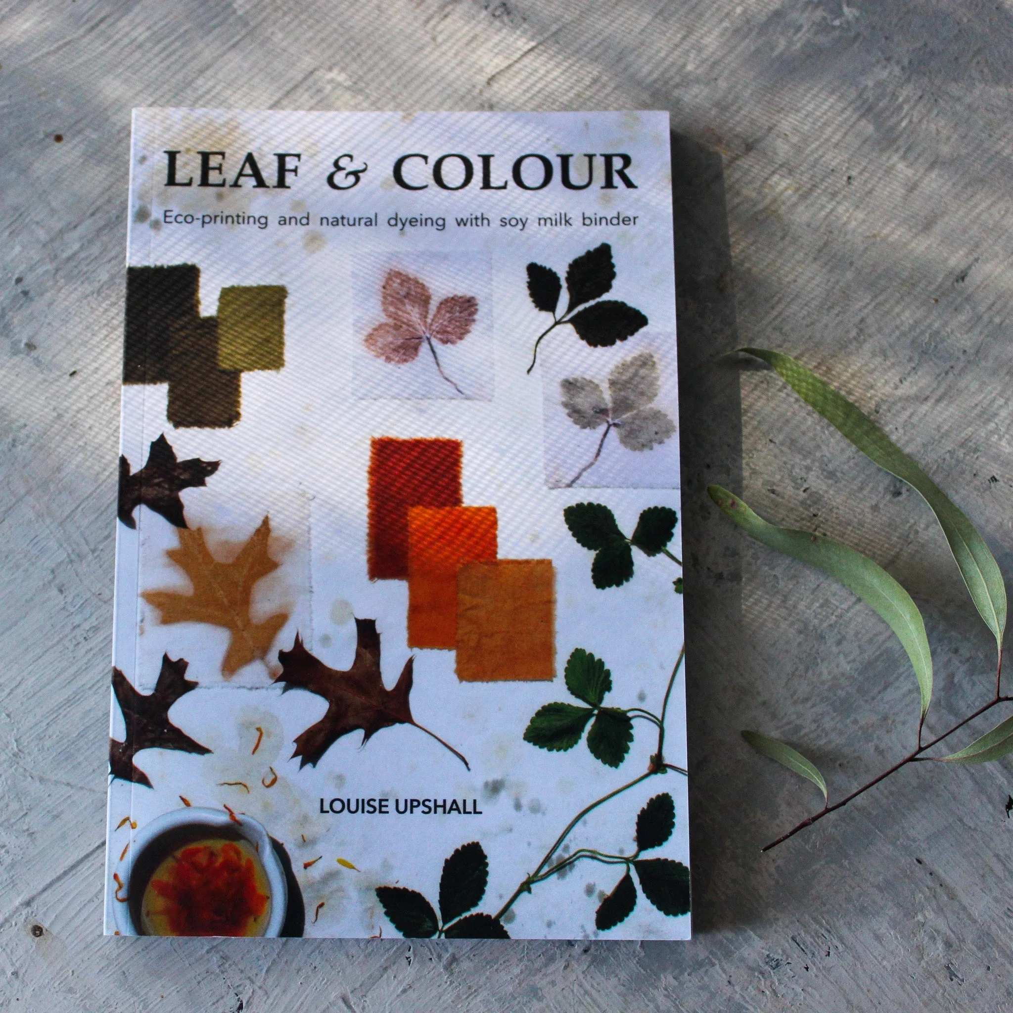 Leaf & Colour Book